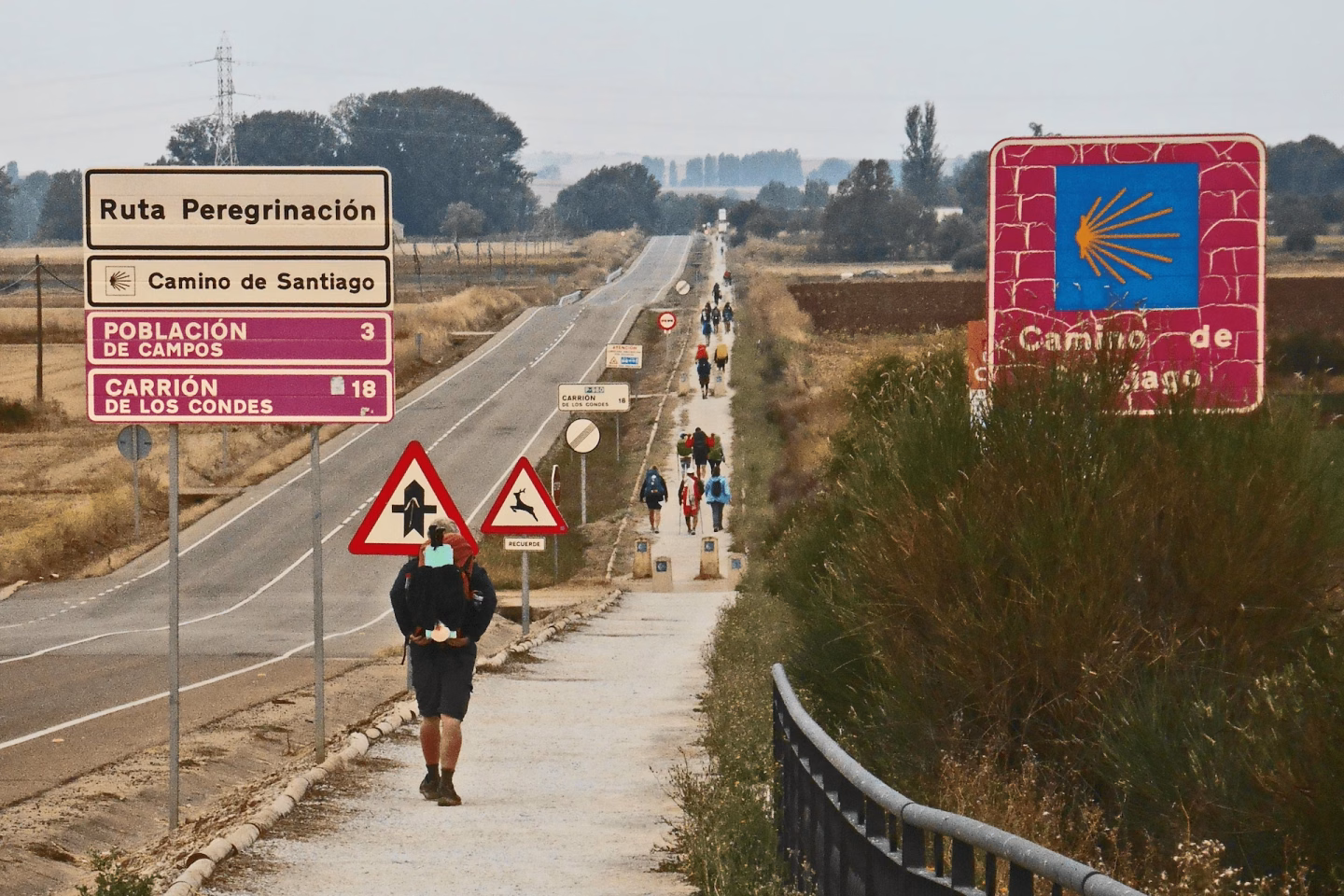 El Camino Francés a su paso por la comarca de Tierra de Campos.