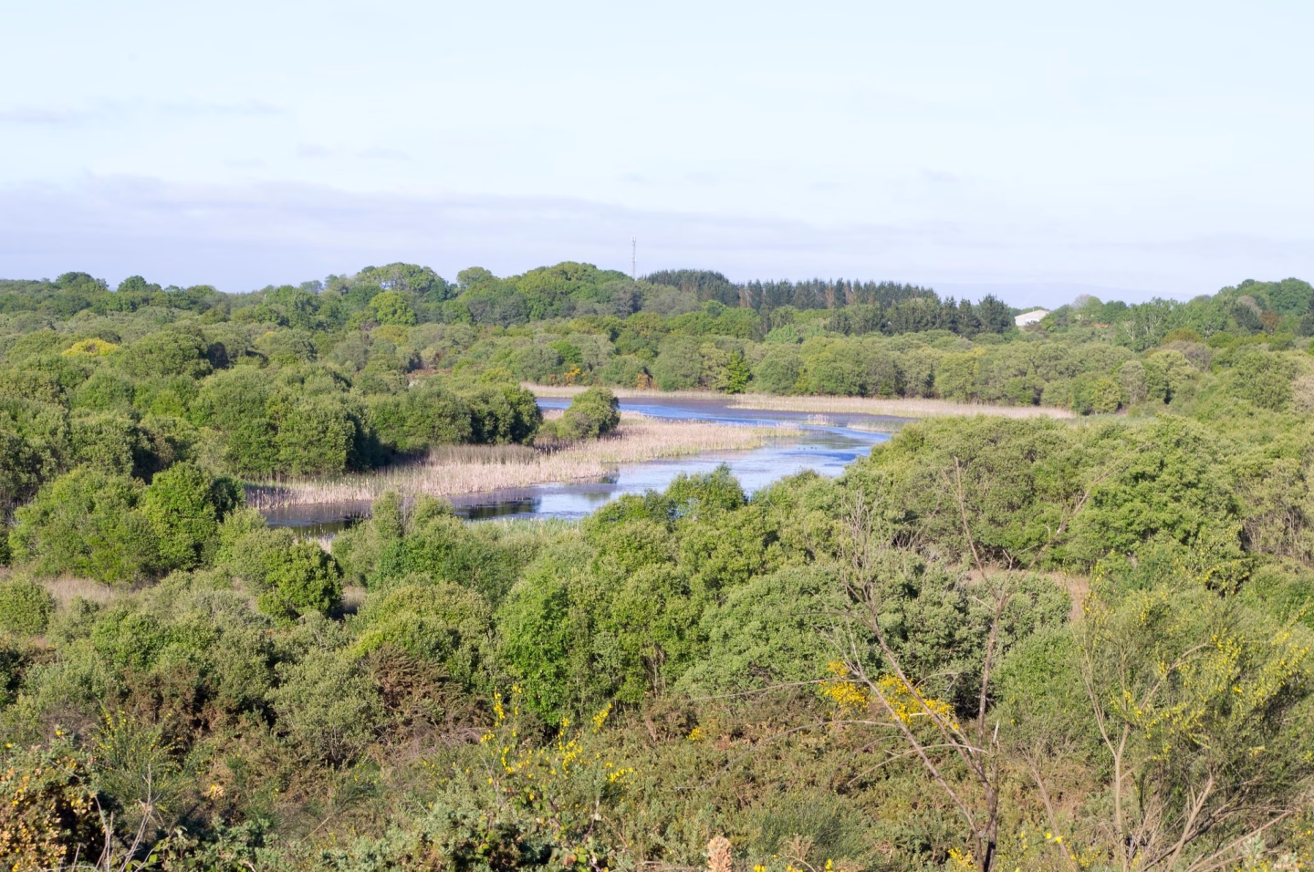 Vista de la laguna de Cospeito