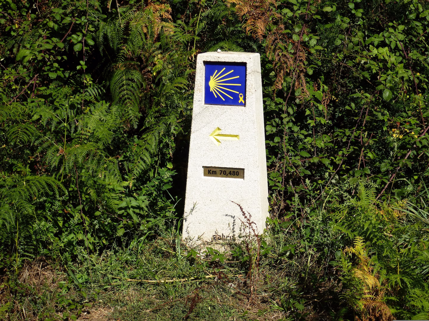 Señal indicativa del Camino de Santiago